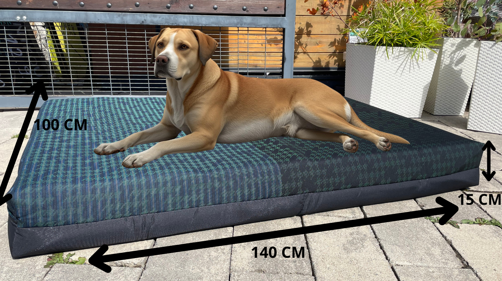 140 CM (1)